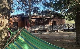 Etna Chalet Nicolosi